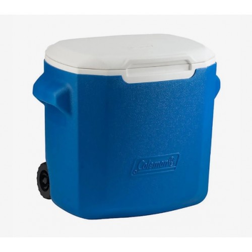 Coleman 28QT